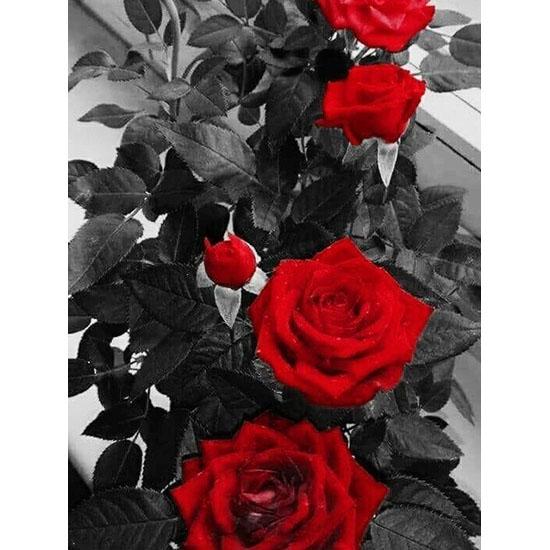 huacan Diamant Mozaic Flori Strasuri Diamant Broderie Diamant Pictură Floral Trandafir