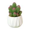 Mini Artificial Cactus and Bonsais Figure Resins Succulent Faux Potted Plant Figurine for Home and Office Desktop Decors