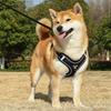 Breathable Adjustable Dog Harness Vest & Leash for Small To Medium Dogs - No Stuffing, No Choking, Ideal for Shiba Inus & French Bulldogs