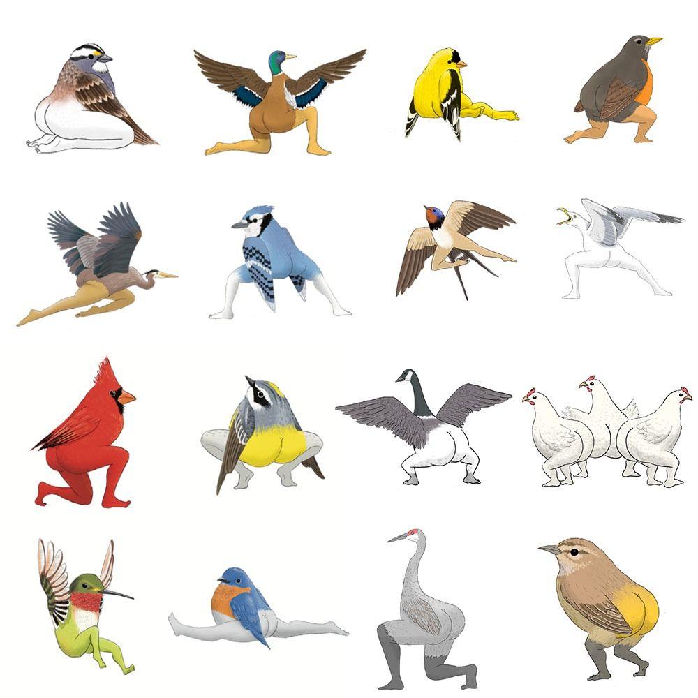 

Bird Accurate Birds Stickers Paper Bird Stickers Gift Bird Watcher Stickers