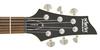 SCHECTER electric guitar DELUXE SBK C-6