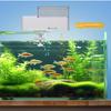 Led Aquarium Digital Fish Tank 500Ml Intelligent Digital Automatic Fish Feeder With Timer Pet Feeding Fish Food Dispenser Food