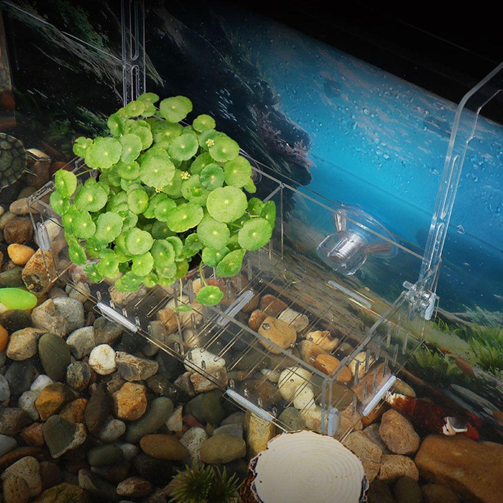1Pcs Small Fry Aquarium Isolation Box Hatchery Divider Hydroponic Plant Box Fish Tank Accessory