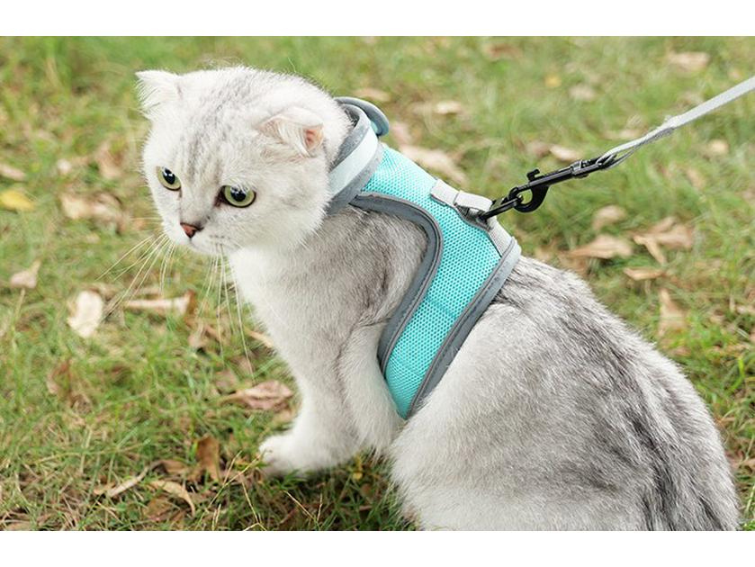 Vest-Style Cat and Dog Harness with Leash - Small Pet Walking Gear