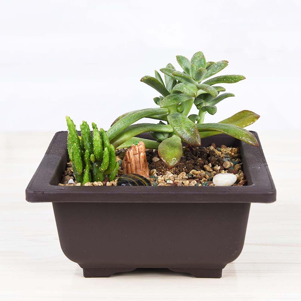 Plastic Succulents Balcony Home Decor Bonsai Pots Planters Garden Supplies Nursery Pots