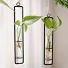 Wall Hanging Test Tube Vases Thickened Glass Vase Gardening Supplies Hanging Glass Planter  Garden
