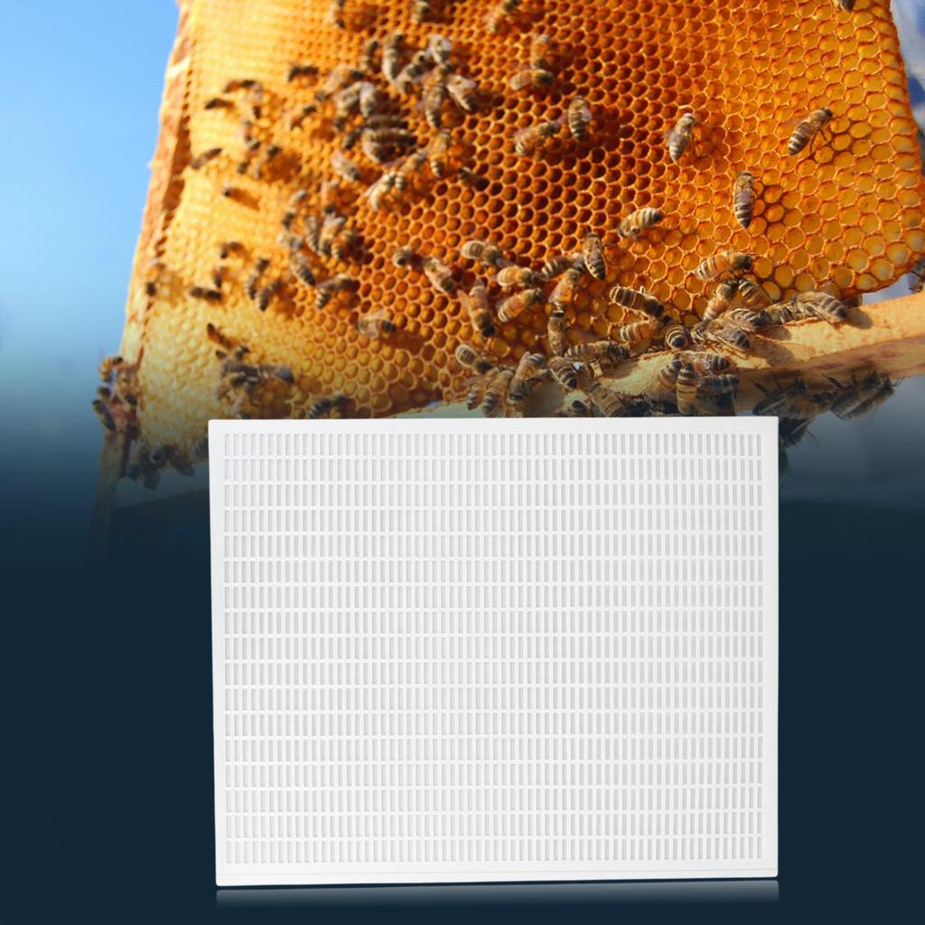 Practical Beekeeper Beekeeping Excluder Frame Beehive Entrance Reducer Queen Excluder Garden Tools