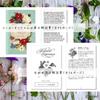 Botanical Inspirations Deck (Authentic Oracle Cards, Flower Fortune Telling, Flower Language) with Japanese Instructions