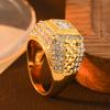 Men's Hip-hop Fashion Brand Street Dance Ring High-end Zircon Ring