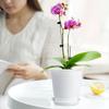 Meshpot 4 inch/10cm Clear Orchid Pots with Holes Match White Plastic Orchid Planter Double Layer Plant Nursery Pots for Succulen