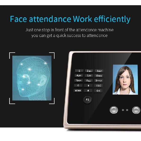 Facial Attendance Fingerprint Recognition Password Unlock Voice Prompt No Software UDisk FAT32 Format Direct Export EXCEL Report