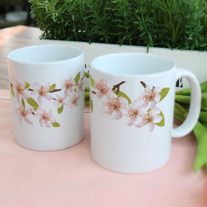 tk253-Design Mug 2p-Spring Cherry Blossoms