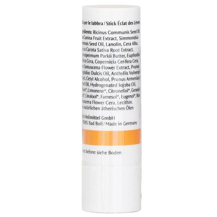 DR. HAUSCHKA Lip Care Stick