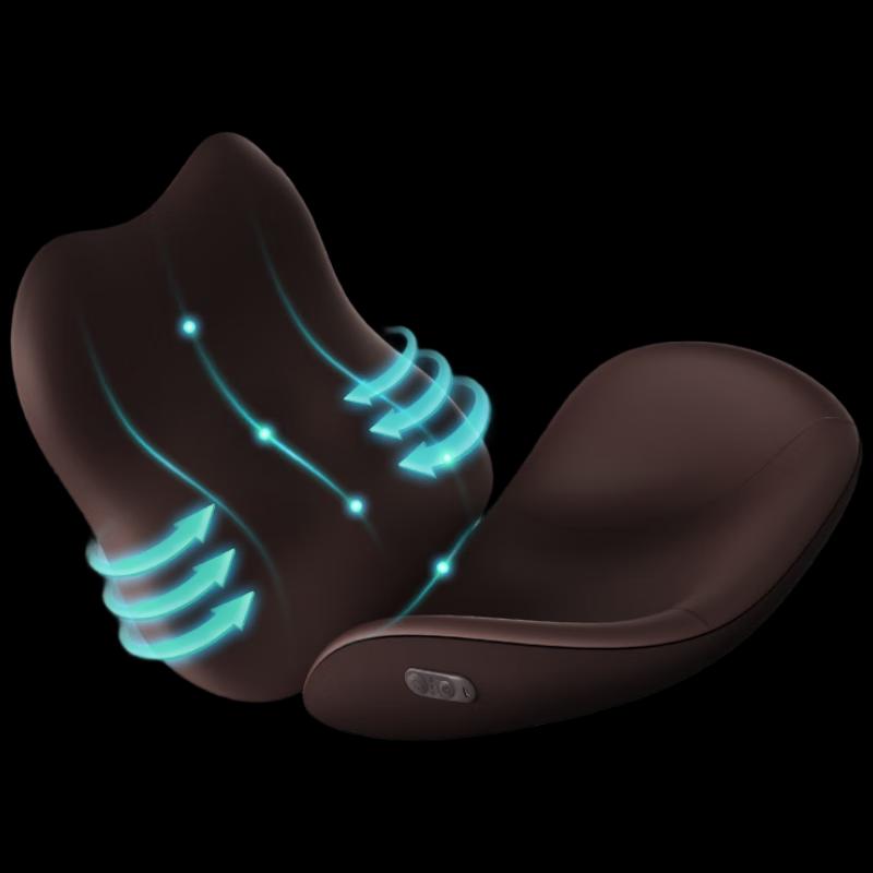 Philips Massage Cushion and Backrest