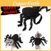 Cute And Funny Pet Spider Costume For Halloween