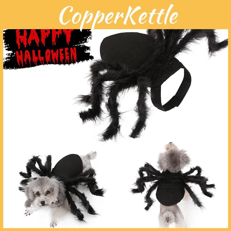 Cute And Funny Pet Spider Costume For Halloween