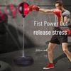 WEZHO Vertical Boxing Speed Ball