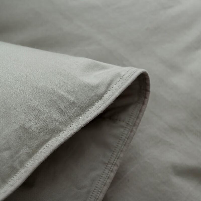 Muxinzi Winter Warm Nano Pearl Fiber Comforter