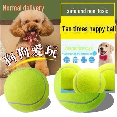 Bianmu Beißfester Hundespielzeugball für Training & Zahnpflege