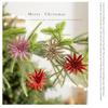 Acessórios para festas – Decorações de Natal