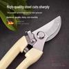 Newcomer Discount: Pruning Shears - Perfect for Garden Branches and Fruit Tree Trimming