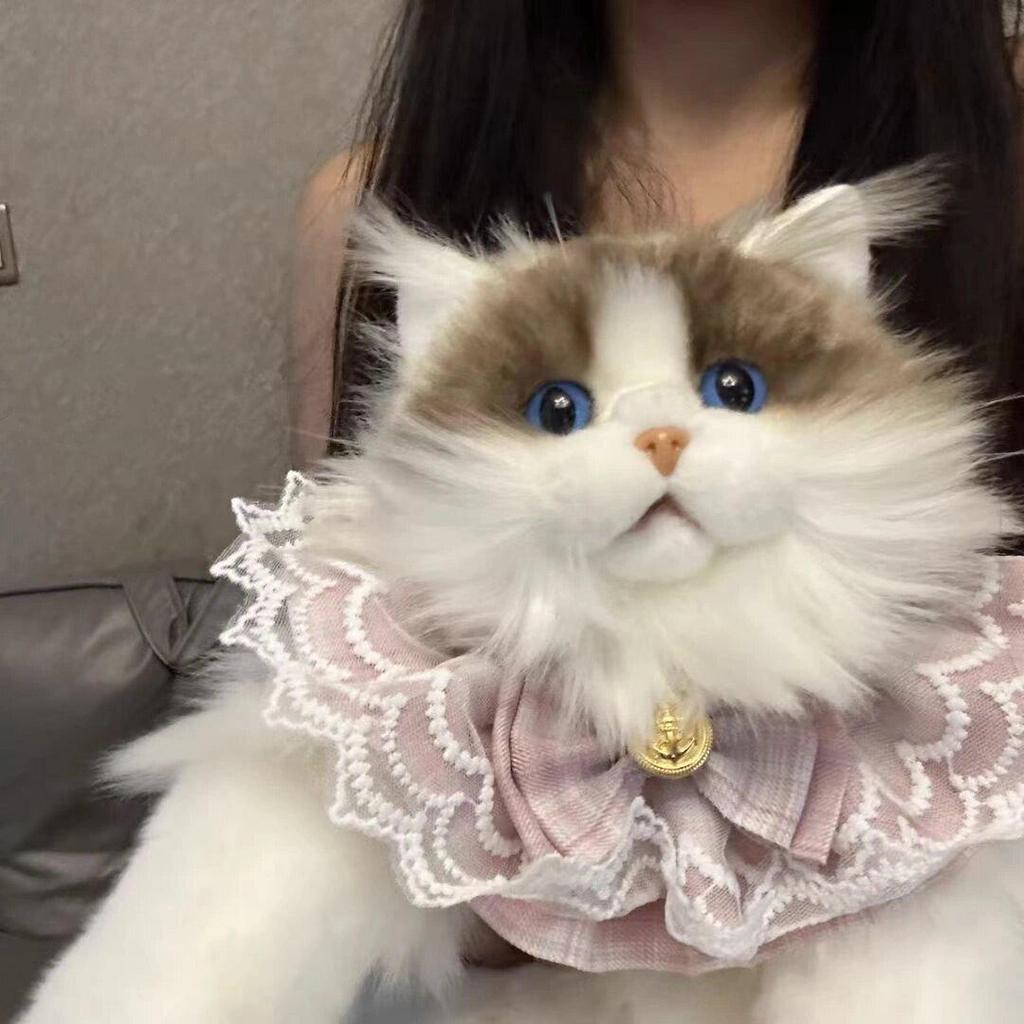 Ragdoll Cat Plush Backpack and Kitten Pillow Toy Gift
