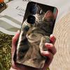 For Vivo iQOO Neo 10 Case Wolf Lions Black TPU Soft Silicone Coque for Vivo iQOO Neo 10 Pro Phone Back Cover Neo10 Pro 5G Shells