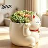 Gift for Housewarming Cute Fortune Cat Planter Resin Beckoning Kitty Flower Pot Auspicious Pot Indoor Plants Cartoon Plant Succulents Office