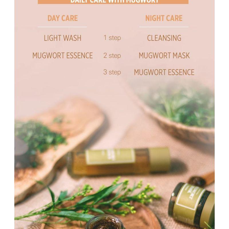 I'm from - Mugwort Mask Bundle Set
