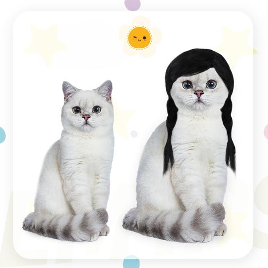 Funny Black Double Ponytail Pet Wig with Adjustable Strap Novelty Dog Cat Cosplay Accessory for Halloween Christmas Parties Festivals