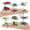 Simulated Insect Model, Liriodendron Beetle, Beetle, Triangular Dead-Leaf Frog, Reptile, Desktop Toy