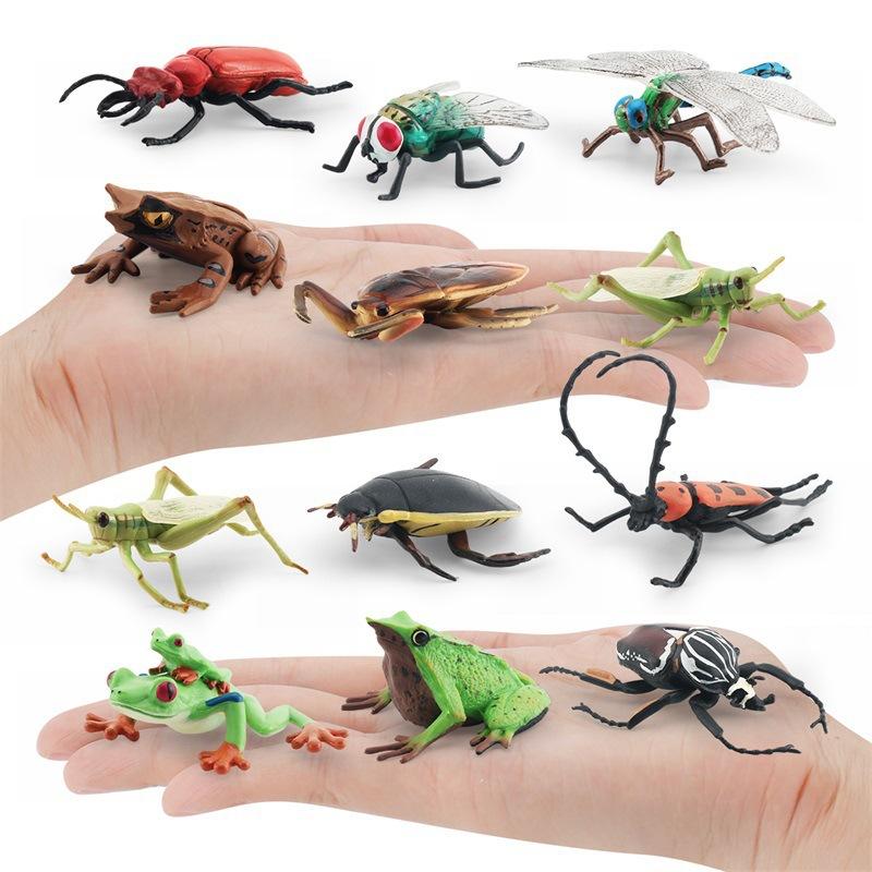 Simulated Insect Model, Liriodendron Beetle, Beetle, Triangular Dead-Leaf Frog, Reptile, Desktop Toy