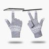 Unisex Winter Touchscreen Fleece Gloves - Korean Style, Thickened for Outdoor Sports, Cold-Proof Wool for Electric Car Use