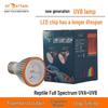 110V Turtle Basking Lamp UVB/UVA Full Spectrum Sun Lamp for Reptiles
