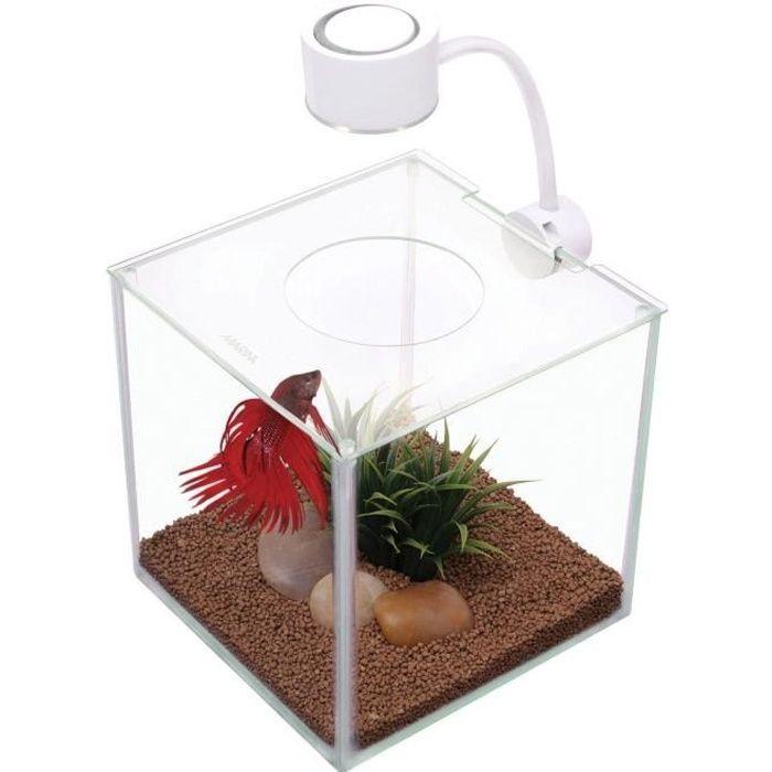 Acquario in vetro betta cubus - marina - 3,4 l - illuminazione led trasparente