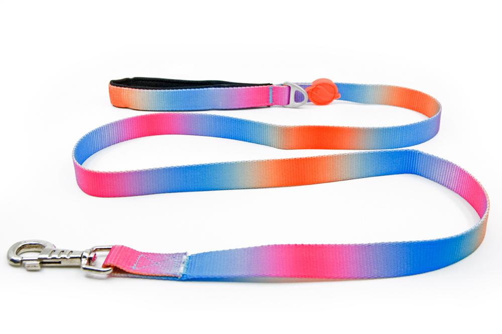 

PASS Leash 0,78 - 51,18