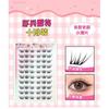 LuxeFlutter - Natural Multipack False Eyelashes