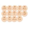14 Pcs Milestone Cards Round Wooden for Monthly Recording Disc Door Hanger