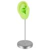 Zinc Zinc Alloy Stand Silicone Ear Model Piercable Earrings Display Stand Human Ear Model Rack  Girls Women