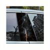 Acessórios ao ar livre – Adesivos de carro