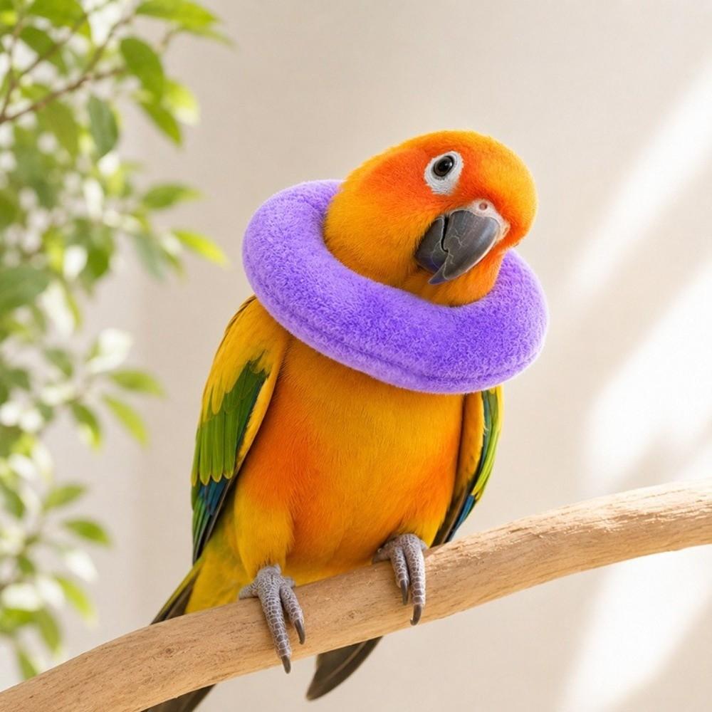 Breathable Anti Licking Collar Anti Bite Pet Recovery Collar Parrot Recovery Cone Birds
