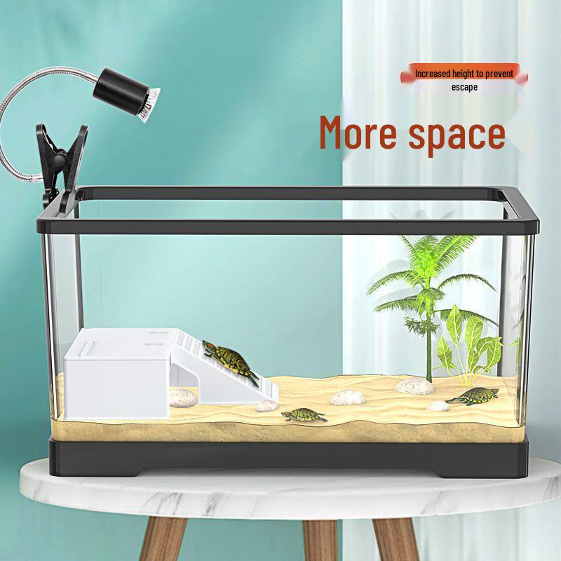 Small Acrylic Transparent Fish Tank with Bottom Drainage for Desktop or Living Room