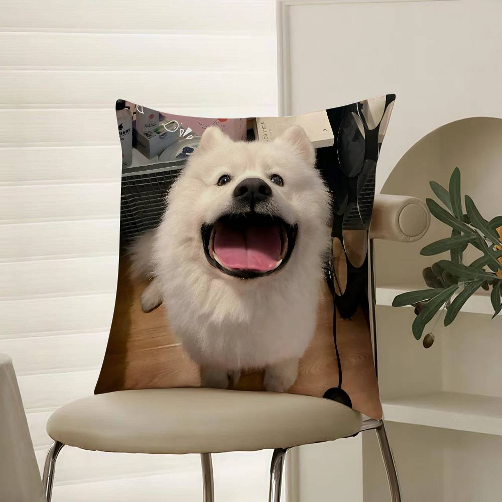 Happy Cute Puppy Smiling Sunshine Pillow Case Comfort Sofa Bed Silky Elegant Invisible Zipper Decorative Cushion Cover