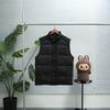 Big Goose ParadigmFreestyleVest-W Vest Down Jacket Big Pocket Vest Men's and Women's Coat
