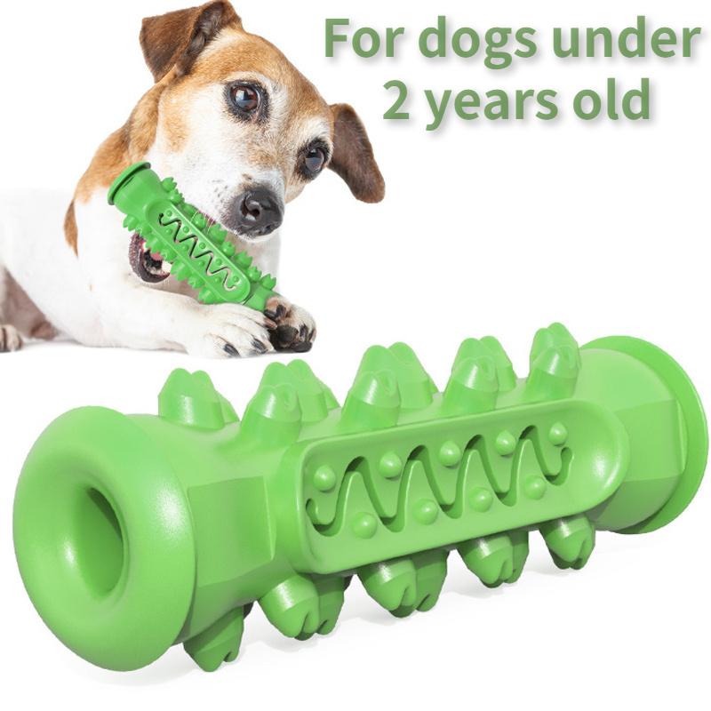 

Жевательная игрушка для собак для здоровья полости рта — Зубная щетка для щенков и взрослых собак — Безопасные и нетоксичные товары для домашних животных для свежего дыхания и здоровых зубов C зелёный