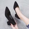 Shoes female student Korean version 2025 spring and autumn new light mouth versatile black work shoes buckle thick heel high heels women
