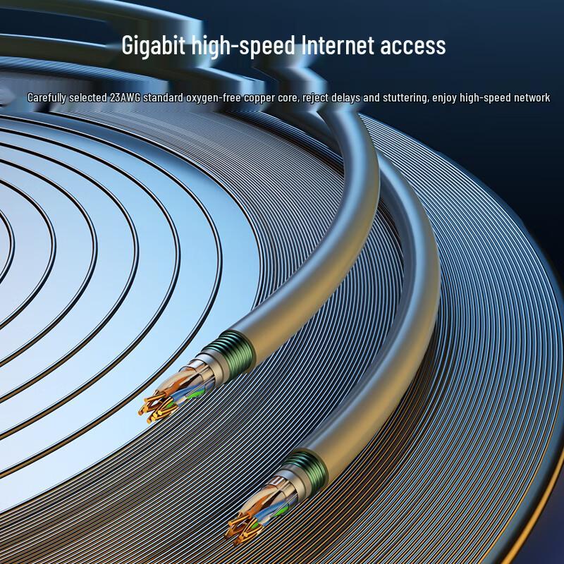 Zhongtian Hengke Cat5e Armored Anti-Rat Bite Network Cable
