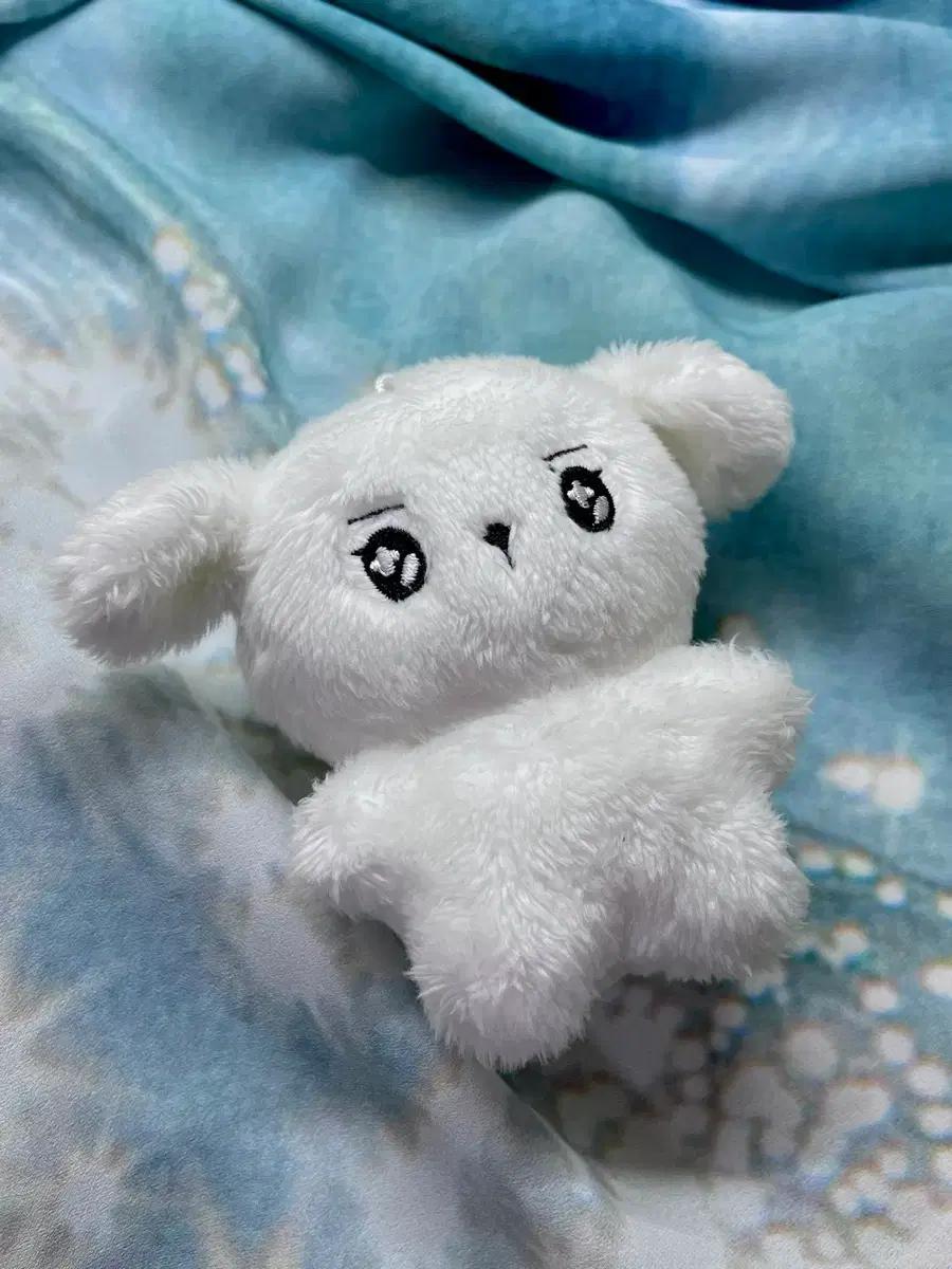 

ASTRO Cha Mong Yi Cha Eun Woo Unofficial Doll Sisters Used