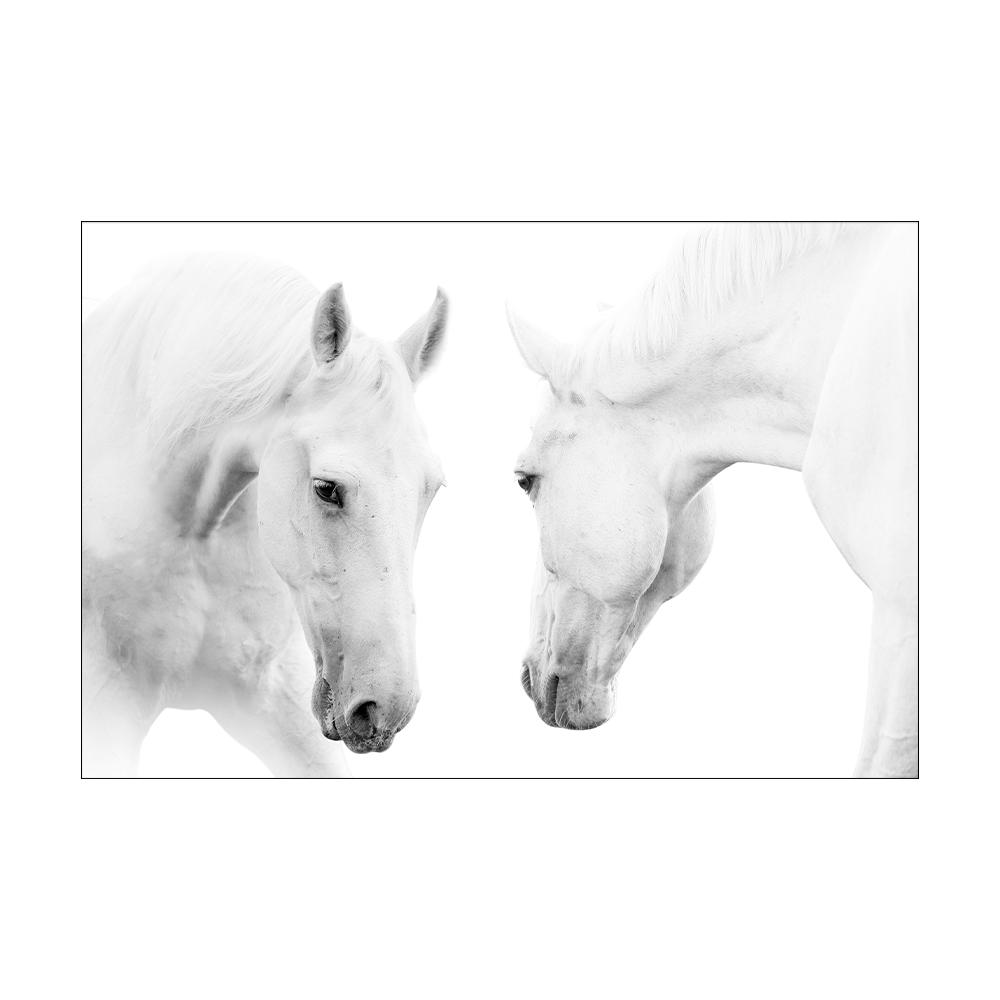 Black and White Horse Poster Print Canvas Painting Horses Running Animal Wall Art Picture for Farmhouse Room Home Decor