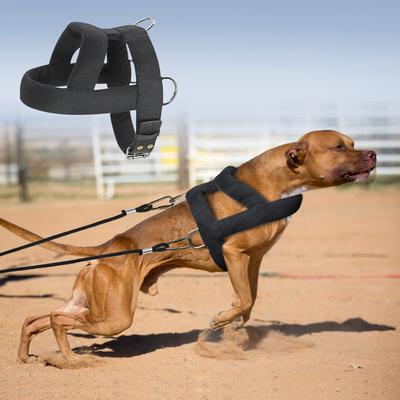 Harnais de Traction pour Chien Harnais Doux Rembourré pour Chiens Pitbull Grands Chiens Harnais d'Entraînement Produits d'Agilité pour Animaux de Compagnie